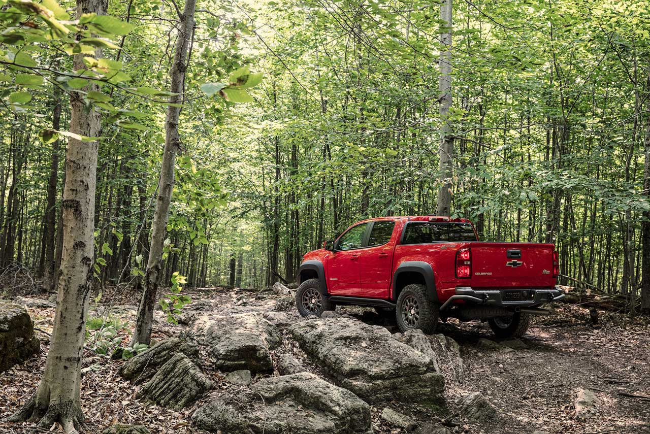 Colorado ZR2 Bison on a trail at Michigan's Drummond Island