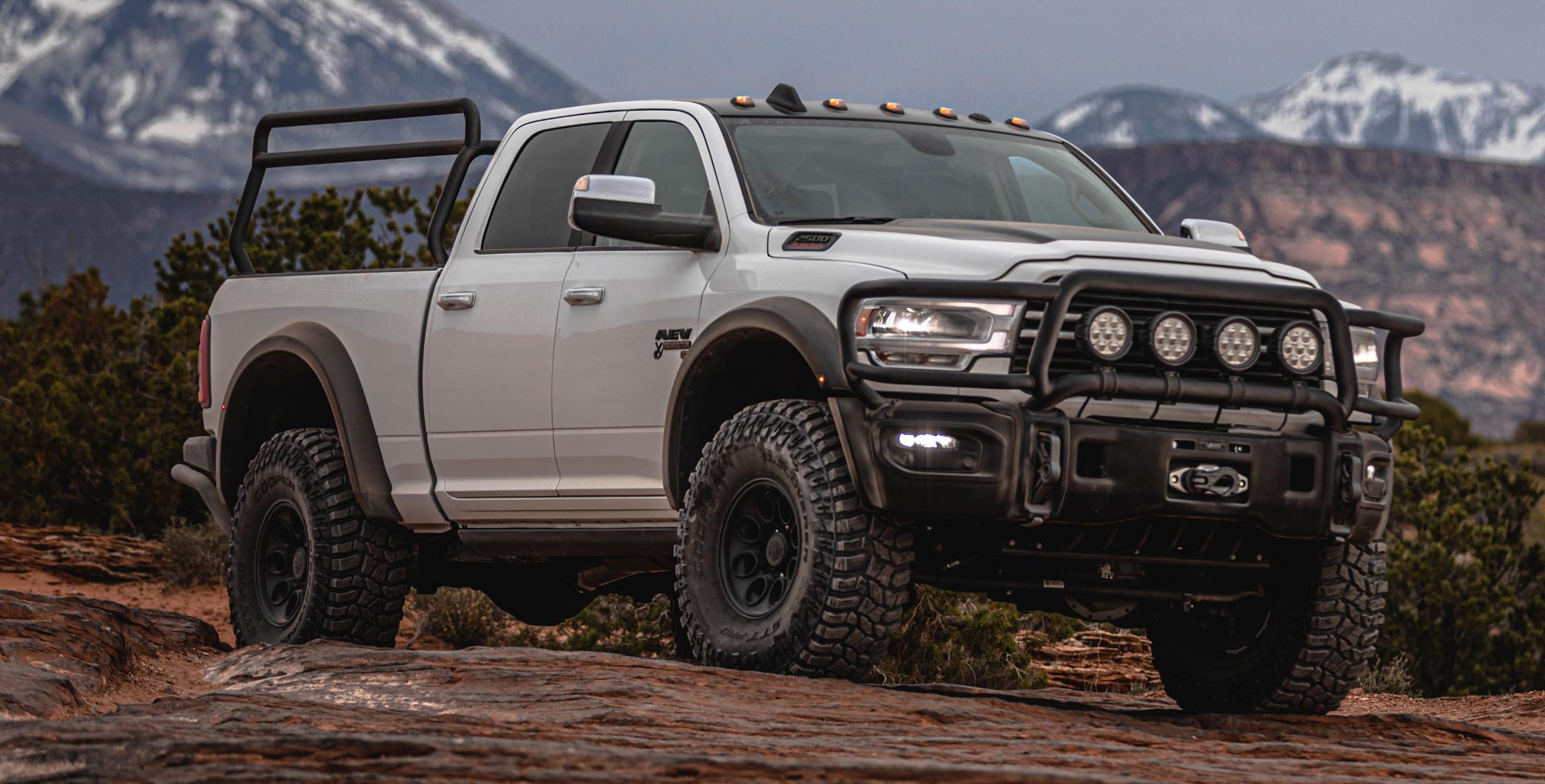 Brush Guard for 2019+ Ram HD