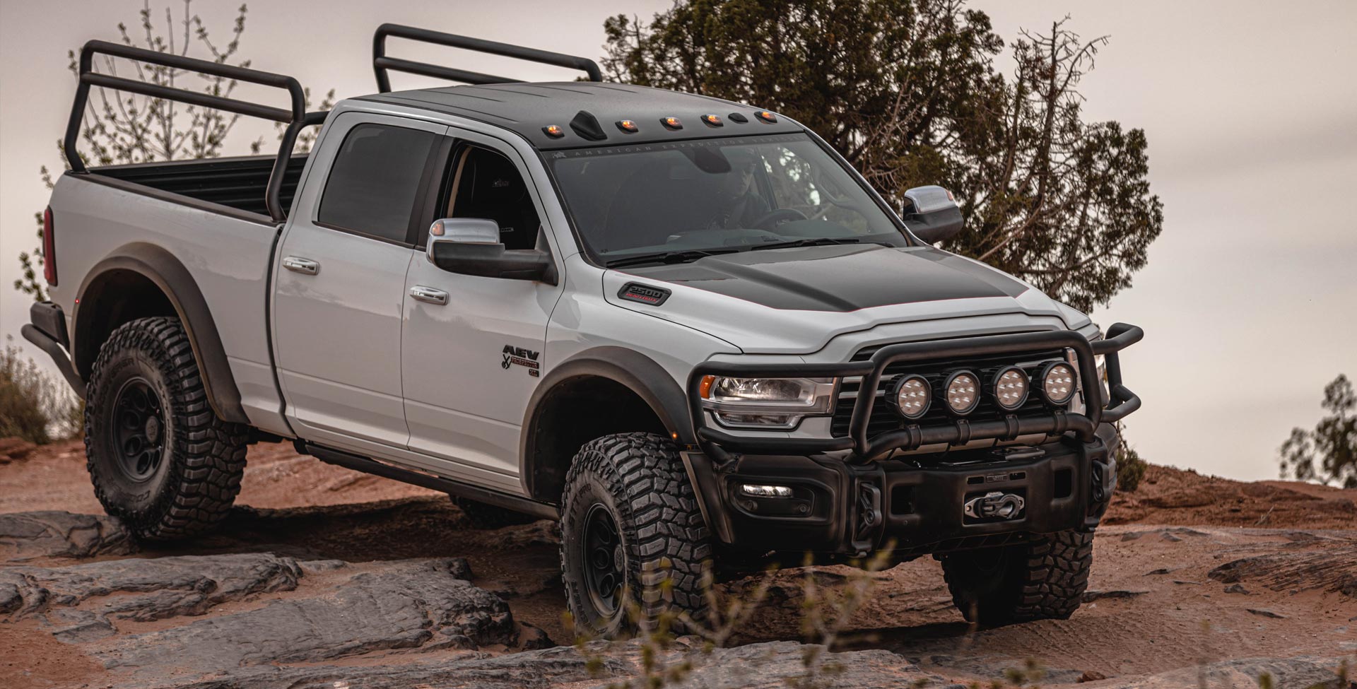 Brush Guard for 2019+ Ram HD 2